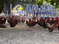 清羡园