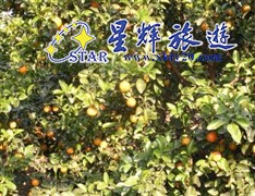 清羡园