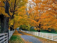 从化石门国家森林公园赏红叶一天游