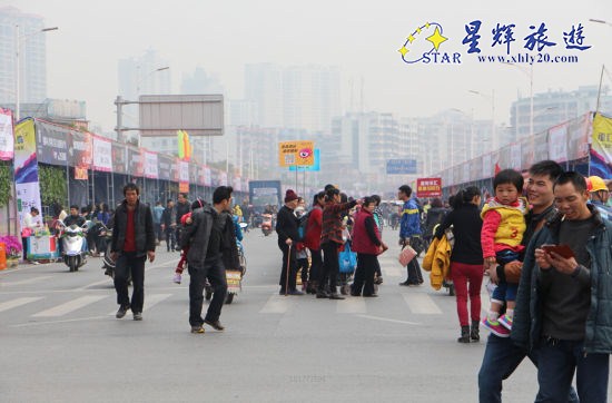 花市现场人气火爆 花市现场人气火爆