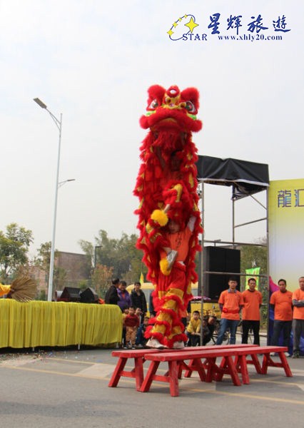 精彩的舞狮令观众大饱眼福 精彩的舞狮令观众大饱眼福