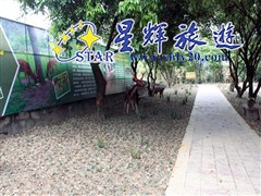 红旗湾生态乐园