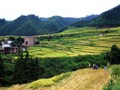 （连山）欧家梯田