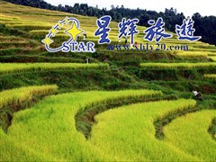 欧家梯田2