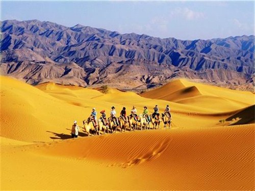区沙坡头风景区