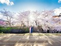 首尔五天四晚经典之旅，韩国同款打卡