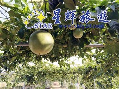 （清远）百香果采摘园