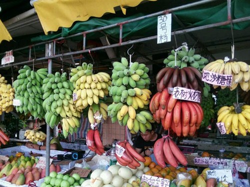 水果一条街23