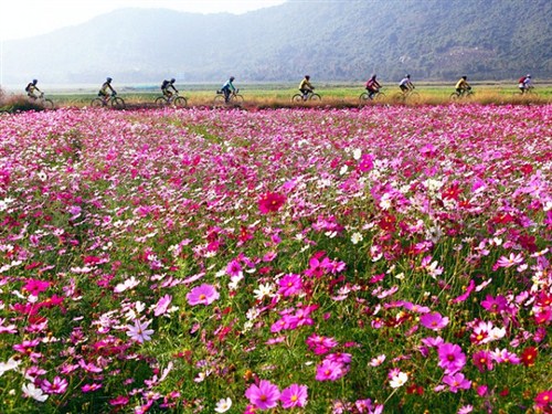 花语牧场2