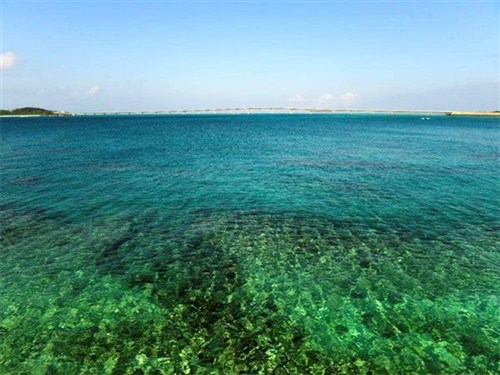 苏比克湾01