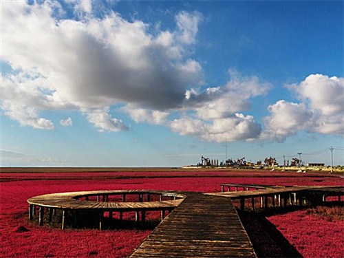 辽宁盘锦红海滩国家风景廊道02