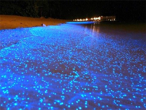 星星海滩