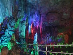 微信截图_20190617100527