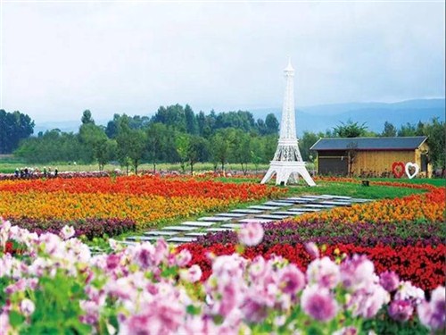 花语牧场01
