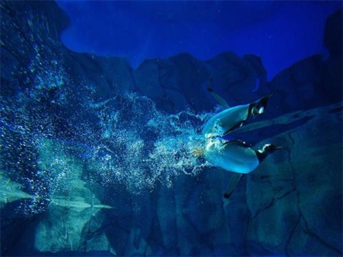 海洋公园5