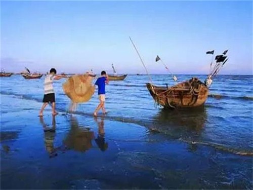 赶海活动01 (2)