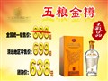 五粮金樽-藏品礼合装全国统一销售扫码价880元/瓶 ,零售价699元/瓶 52度500ml