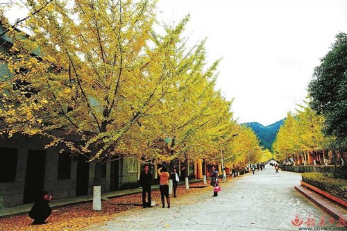 帽子峰