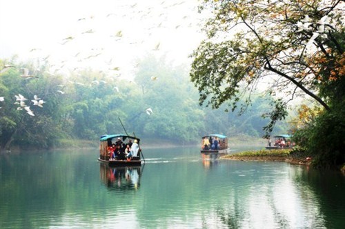 风景