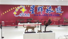 野生动物