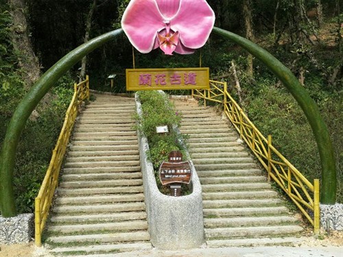 田野绿世界
