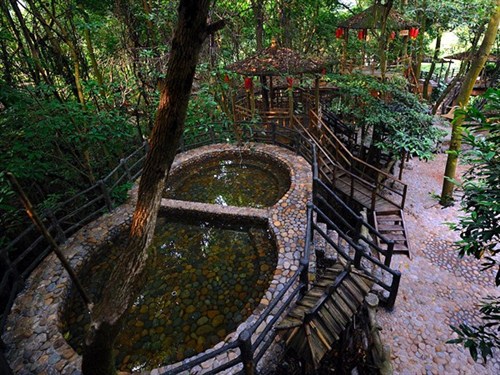 树上温泉