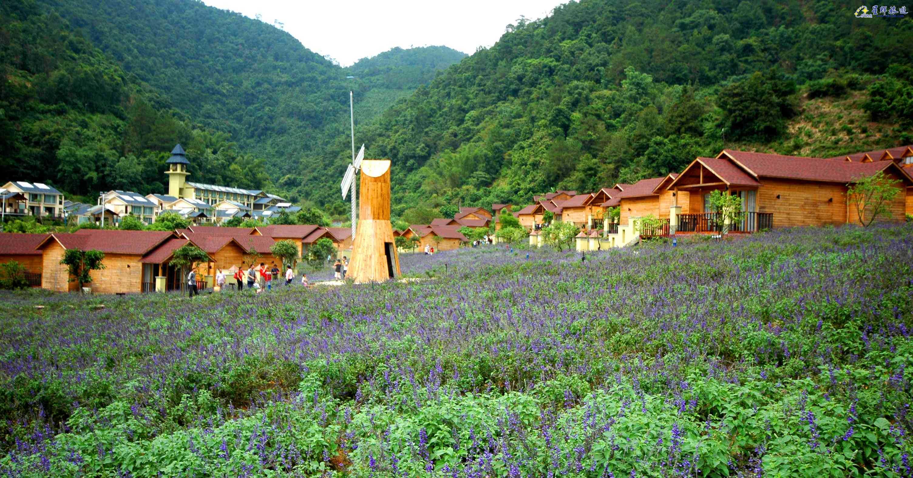 广东德庆盘龙峡景区图片