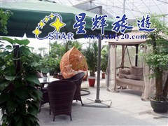 东南亚风情鱼疗5