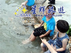 东南亚风情鱼疗6