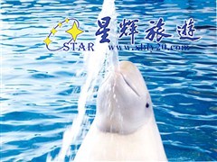广州海洋馆