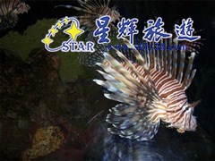 广州海洋馆
