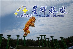 西樵山狮王争霸