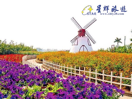 百万葵园