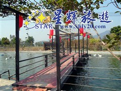 东城黄金布禾雀花基地
