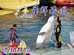促销特价