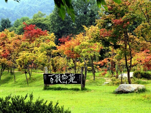 南怡岛2