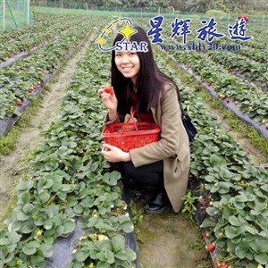 罗丽萍