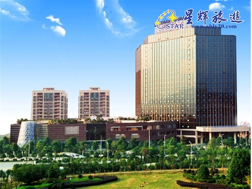 郴州温德姆至尊豪廷大酒店2 拷贝