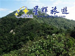 大雾山