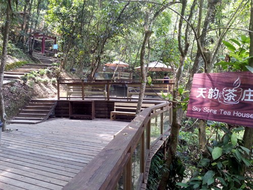 天子山2