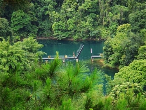 鼎湖山2