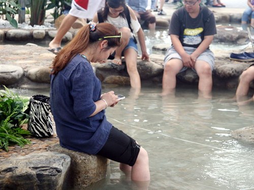 泡享东南亚鱼疗花卉小镇美丽乡村油菜花海一天游