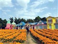 （东莞）梦幻百花洲