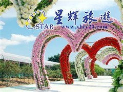 从化宝趣玫瑰世界3