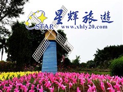 从化宝趣玫瑰园4