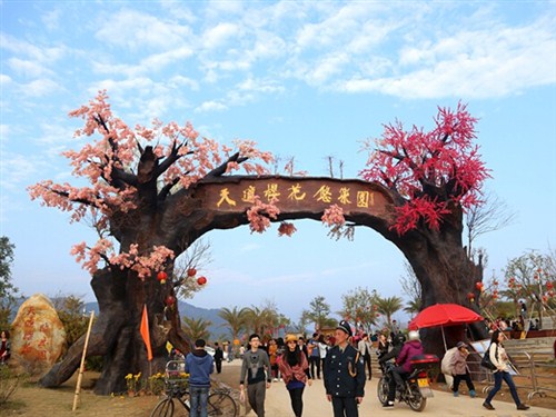 从化天适樱花园