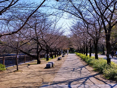 大阪城公园