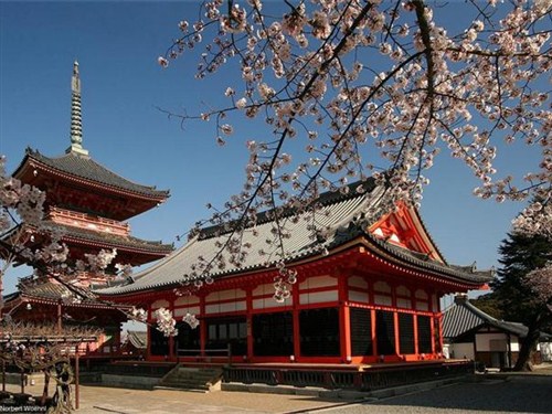 南山公园3