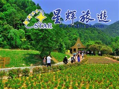 （佛山）三水南丹山森林王国