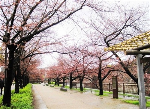 大阪城公园2